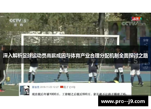 深入解析足球运动员高薪成因与体育产业合理分配机制全面探讨之路