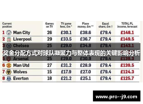 奖金分配方式对球队凝聚力与整体表现的关键影响分析
