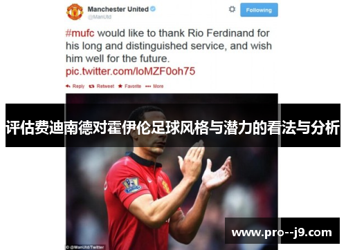 评估费迪南德对霍伊伦足球风格与潜力的看法与分析