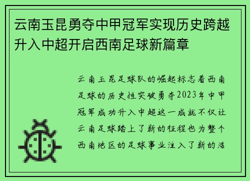 云南玉昆勇夺中甲冠军实现历史跨越升入中超开启西南足球新篇章